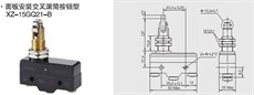XZ-15GQ21-B Dikey Metal Makaralı Pim 15A 1NO+1NC Mikro Switch